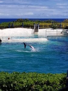 Sea Life Park Hawaii