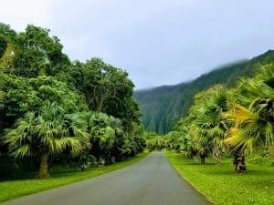 Ho’omaluhia Botanical Garden