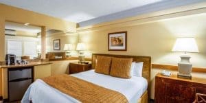 The Equus Rooms