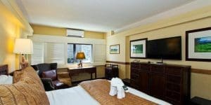 The Equus Rooms