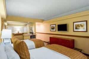 The Equus Rooms