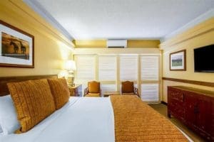 The Equus Rooms
