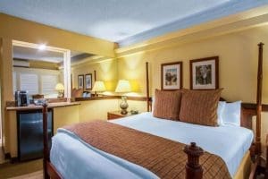 The Equus Rooms