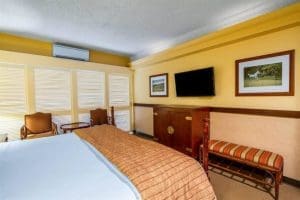 The Equus Rooms