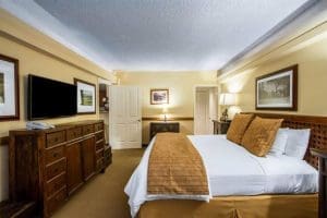 The Equus Rooms