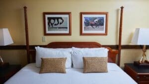 front view of a hotel room of equus hotel in ala moana honolulu hawaii