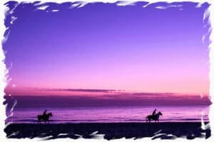 horses on a beach