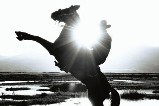 The Fire Horse