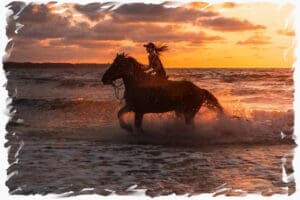 Horse on beach