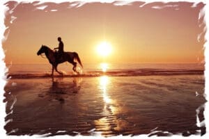 Golden Gallop Offer